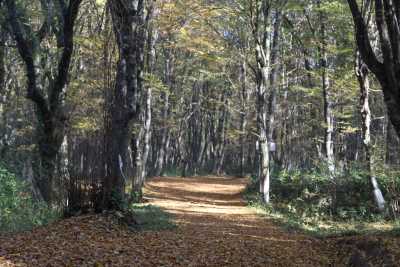 Balamba Tabiat Parkı